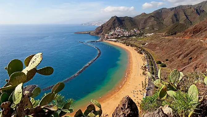 Where Did The Canary Islands Named After?