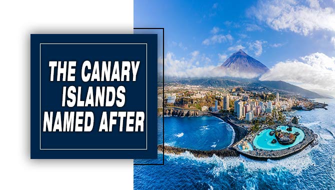 The Canary Islands Named After