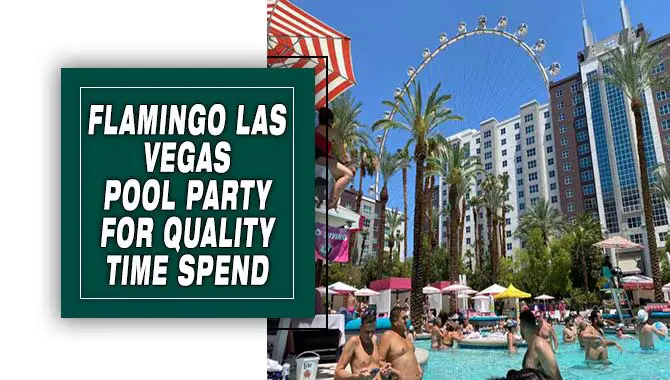 Flamingo Las Vegas Pool Party For Quality Time Spend