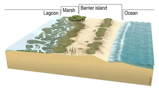 Can Humans Cause Barrier Islands To Form