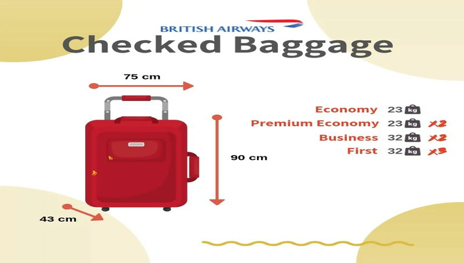 Checked Baggage Fees And Policies