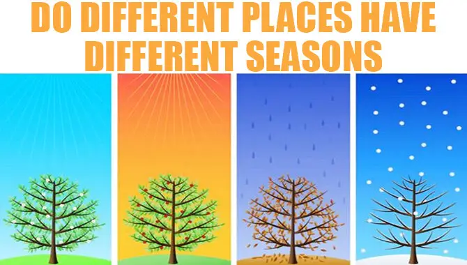 Do Different Places Have Different Seasons