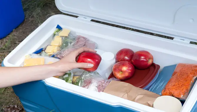 How Long Will A Bag Of Apples Last In A Cooler