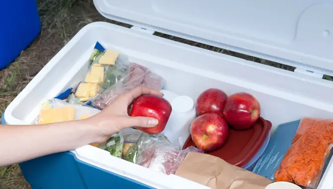How To Store Fresh Produce In A Cooler Bag Or Cooler Box
