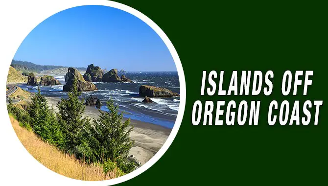 Islands Off Oregon Coast
