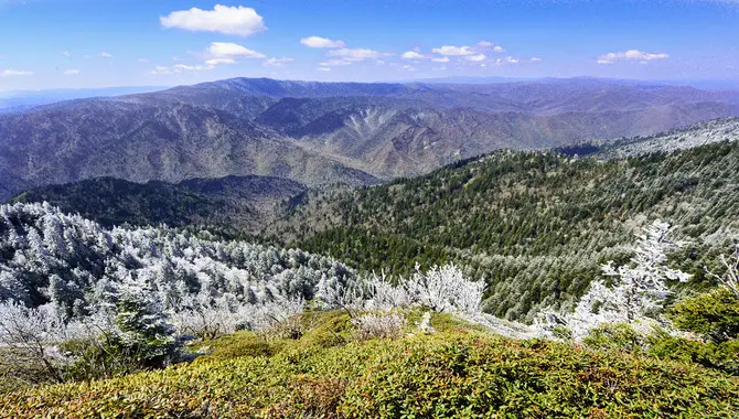 Mount LeConte Weather Forecast