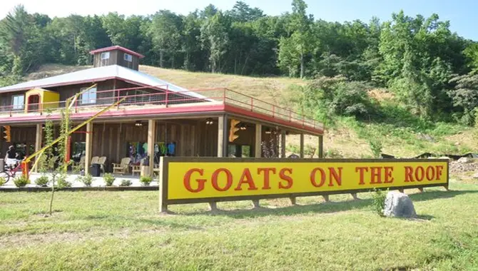 Roofing Options For Goats On Roof Alpine Coasters
