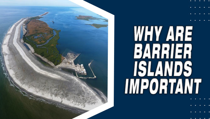 Why Are Barrier Islands Important