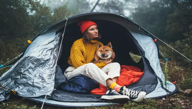 Camping With Your Dog