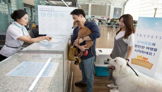 Brief History Of Korean Air Travel With Pets 