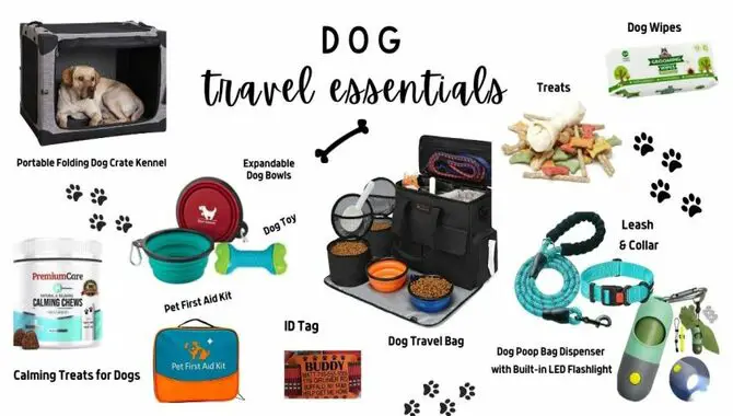 Checklist Of Things To Bring On A Plane With Your Pet