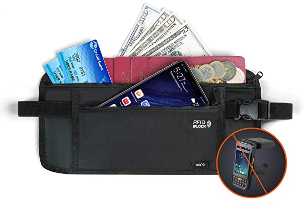 Money belt or wallet with two credit cards and cash 