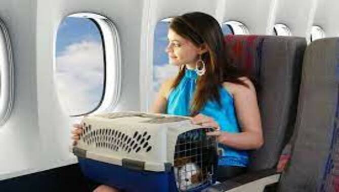 Responsibility Of Both Owner And Pet When Flying In An Aircraft