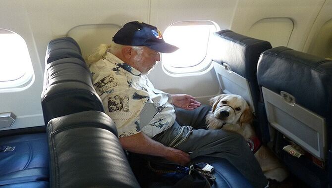 Restrictions On Of My Pet Can Eat While Flying In Alaska