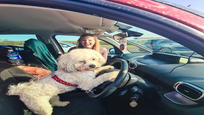 Taking Your Dog On A Shuttle