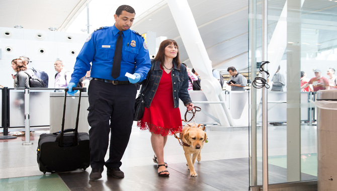 Traveling With Dogs In Airports