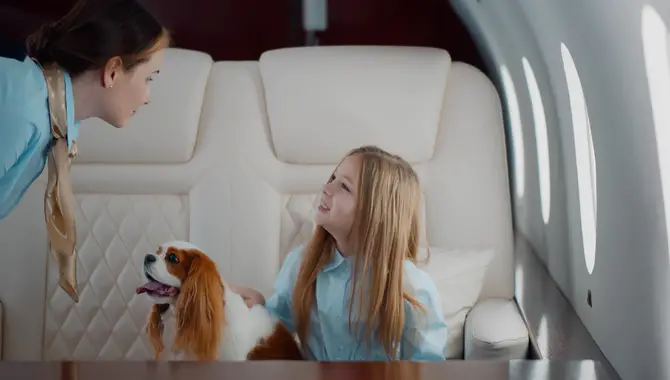 Traveling With Your Pet As A Passenger On Swiss Airlines 