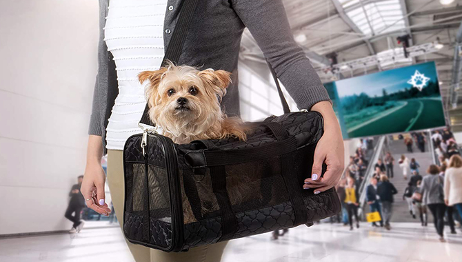 travel with pets air canada