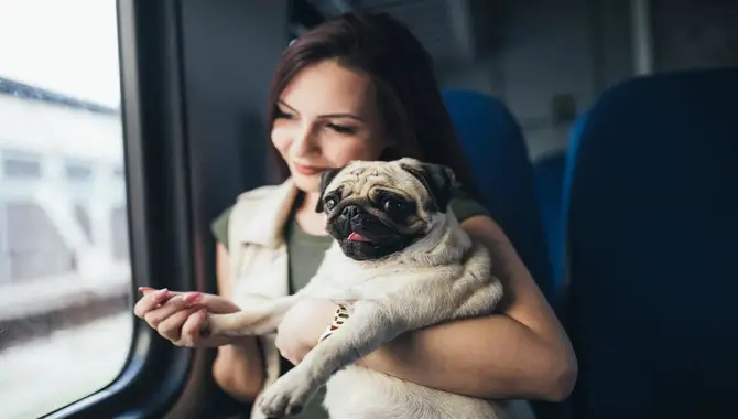 Alaska Air's Policy For Travelling With Pets