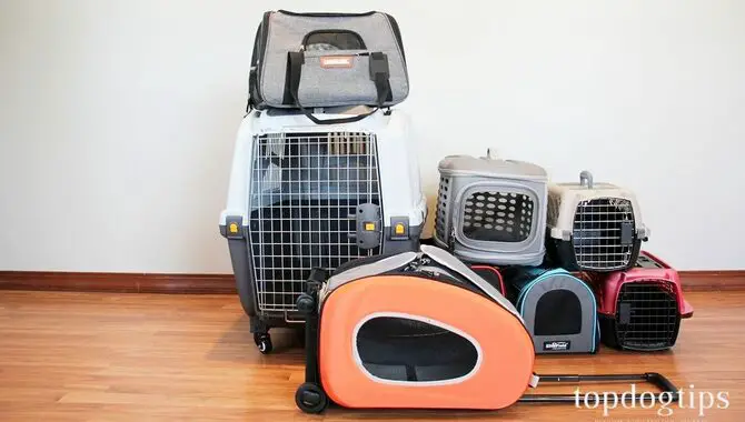 First, Choose The Perfect Dog Carrier