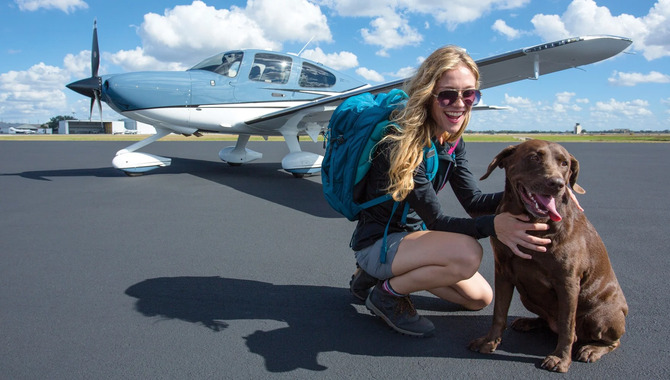 Tips For Flying With Giant Dogs