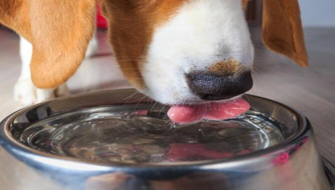 Feeding And Hydration