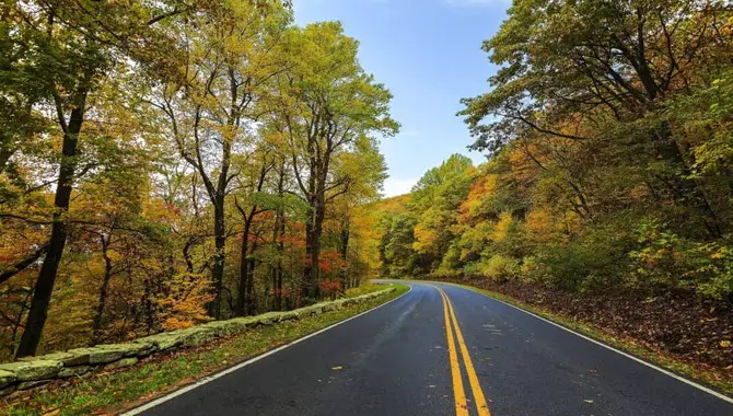 10 Surprising Reasons To Drive Down The Scenic Road To Nowhere