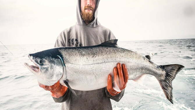 Alaska Whitefish