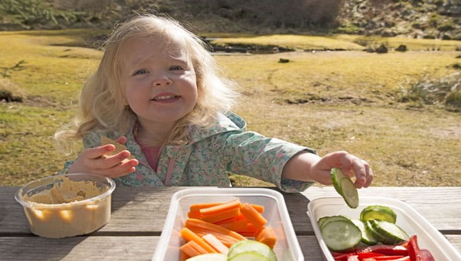 Benefits Of Making Travel Snacks For Babies And Toddlers