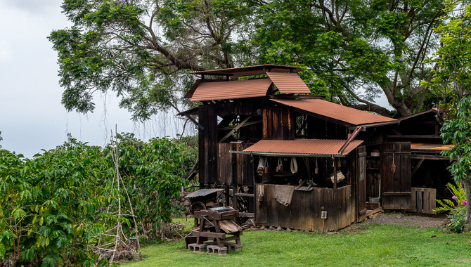 Coffee Country (South Kona) Scenic Drive