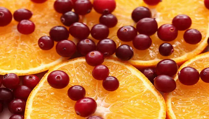 Cranberry Orange Slices