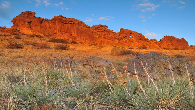 Devil's Backbone