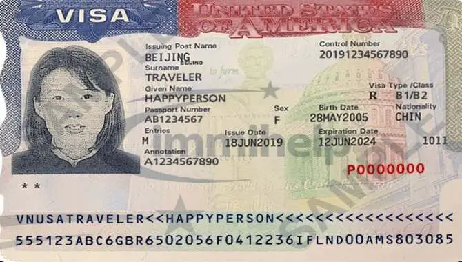 Enter Your Passport Number In The 'Passport Number' Field