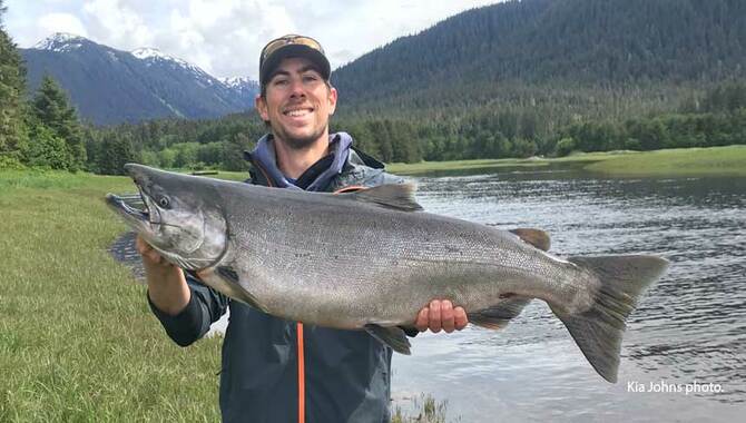 Juneau Salmon