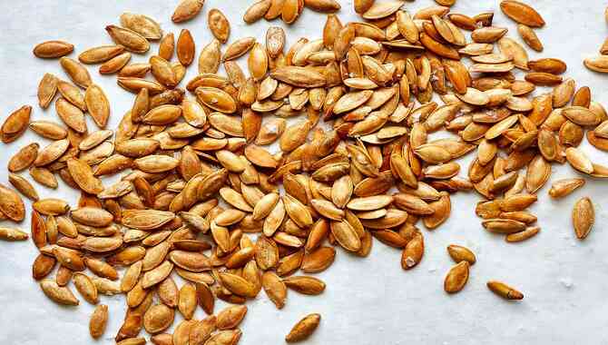 Roasted Pumpkin Seeds