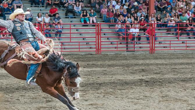 Texas Cowboy Culture Is Alive And Well