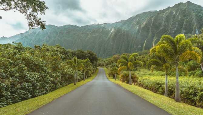 What Are The Best Stops In Driving Around OAHU