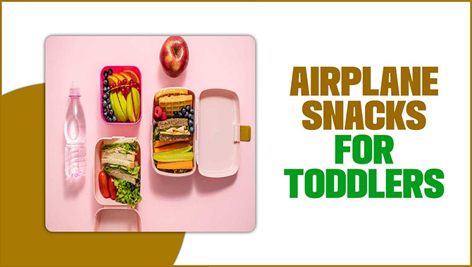 Airplane Snacks For Toddlers