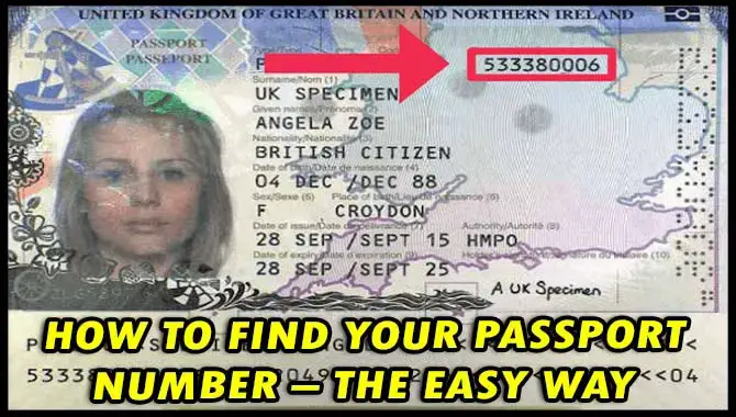 How To Find Your Passport Number Essential Guide