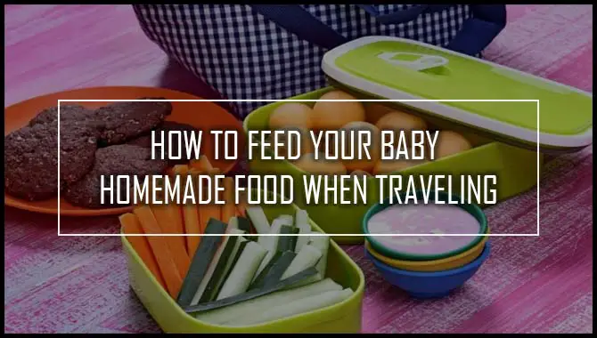 How To Feed Your Baby Homemade Food When Traveling