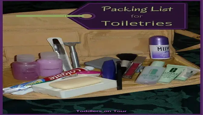 Kids Travel Checklist Toiletries