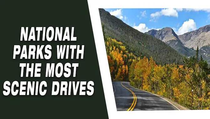 National Parks With The Most Scenic Drives