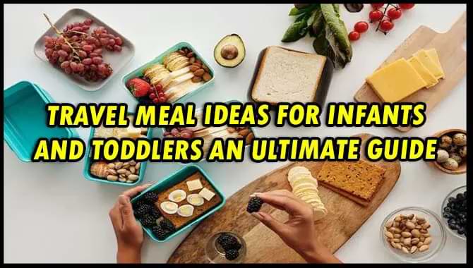 Travel Meal Ideas For Infants And Toddlers