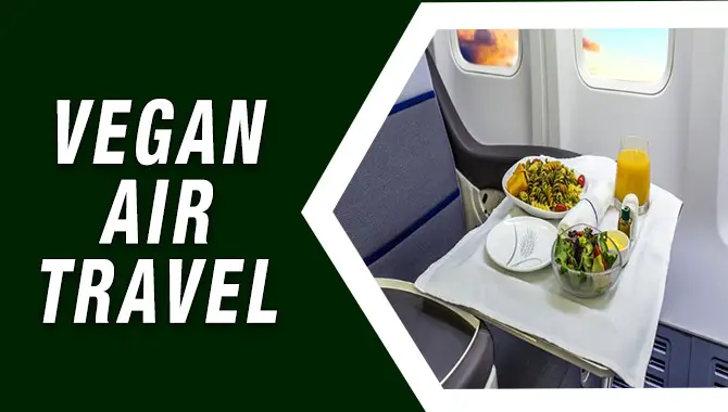 Vegan Air Travel