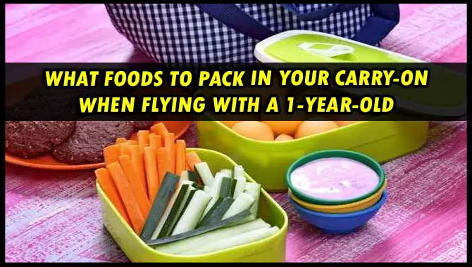 What Foods To Pack In Your Carry On When Flying With A 1 Year Old 