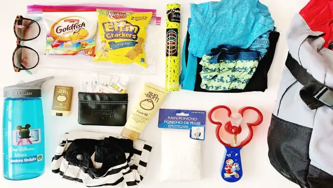 What To Pack In Your Kid's Disney Park Bag?