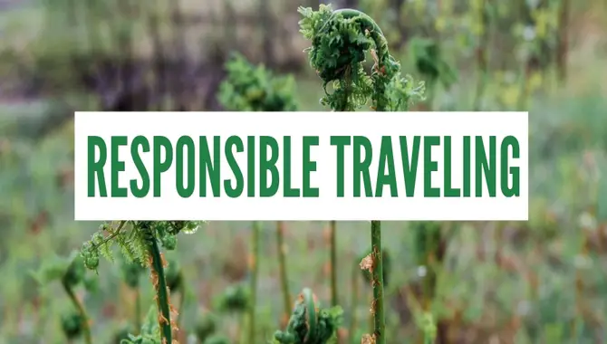20 Tips For Being A More Responsible Traveler