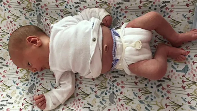 6 Quick & Easy Ways To Fold Pre-Fold Cloth Diapers
