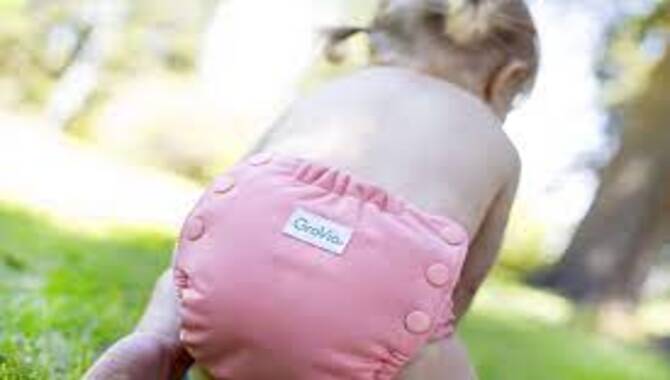 Bacteria On Cloth Diapers