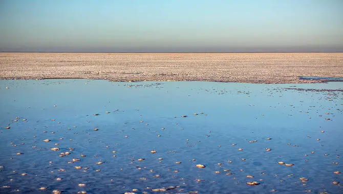Experience The Grandness Of Rann Of Kutch